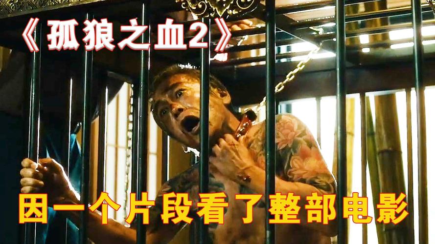 孤狼之血电影在线观看_在线免费观看钟丽缇主要的电影_电影钢甲铁拳在线免费观看