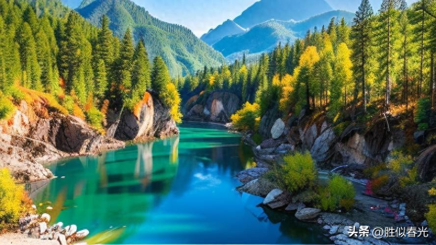 母系家族在线观看_父系亲戚与母系亲人_成年人的亲情关系