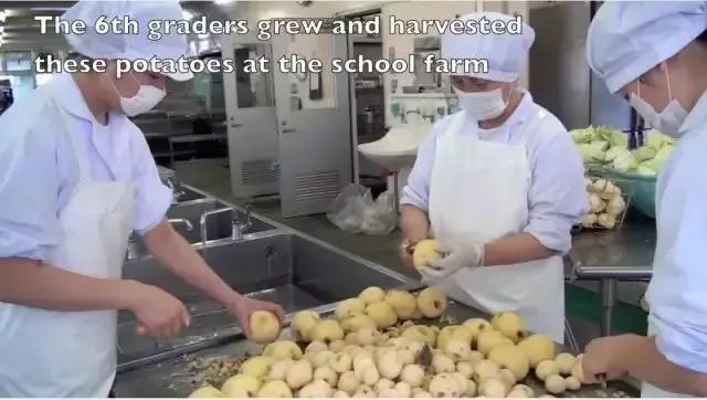 日本校餐历史演变_三星校餐在线观看_日本小学生校餐