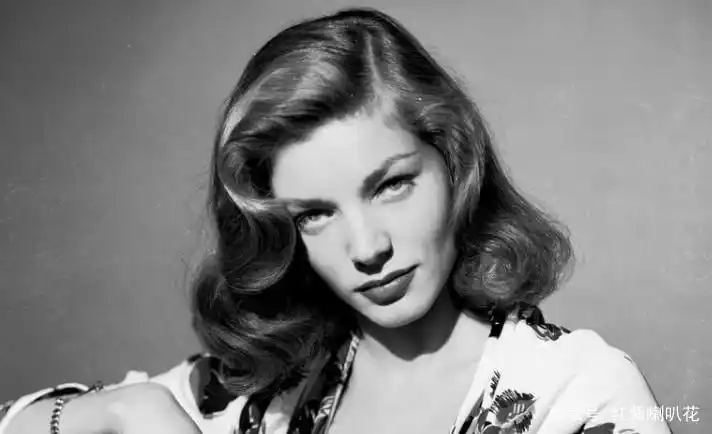 凯拉奈特莉电影作品_好莱坞最美女星排名_电影女明星 概览