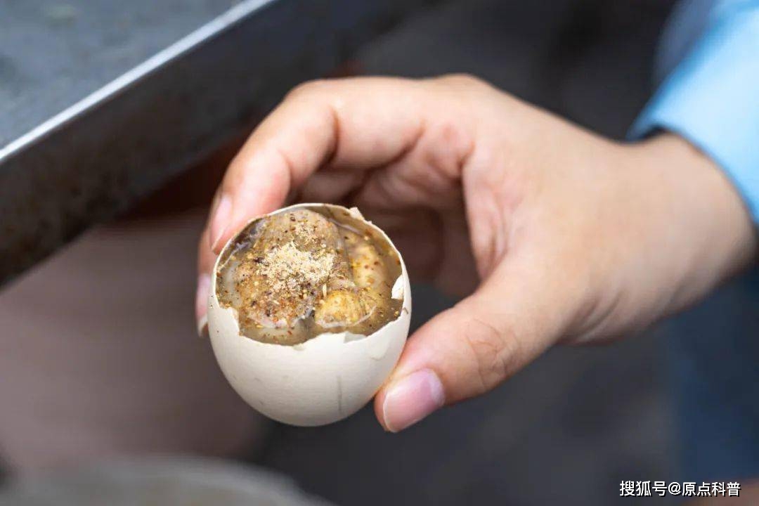 黑暗料理排行榜前十名网红,_江苏特色黑暗料理盘点_江苏黑暗料理排名