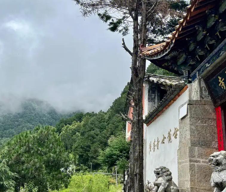 寺庙方丈安全提醒_网红的黑料网站有哪些,_寺庙女网红经历